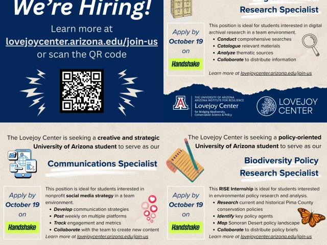 "We're hiring" post with job summaries