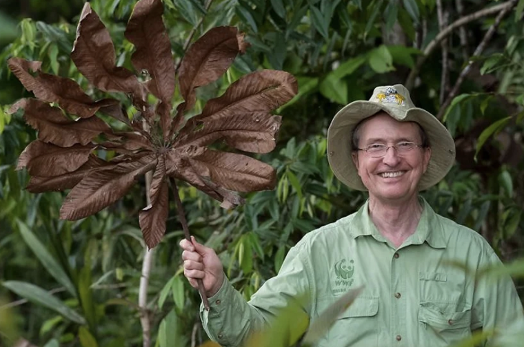 A headshot of Thomas Lovejoy standing in a rainforest.