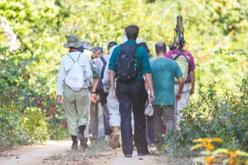 A group of people walking into the rainforest.