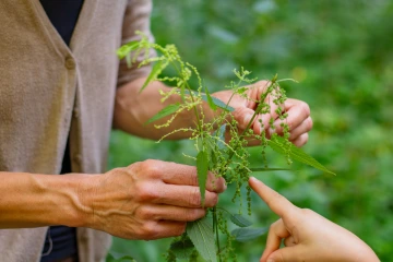 Young hand points at bunch of plants older hands hold.